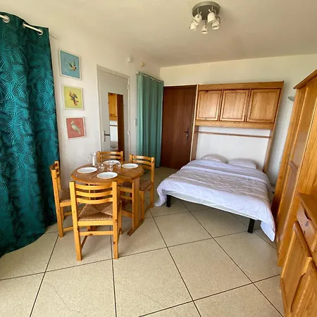 Pieds Dans L'eau - Terrasse - Parking Prive Apartment *